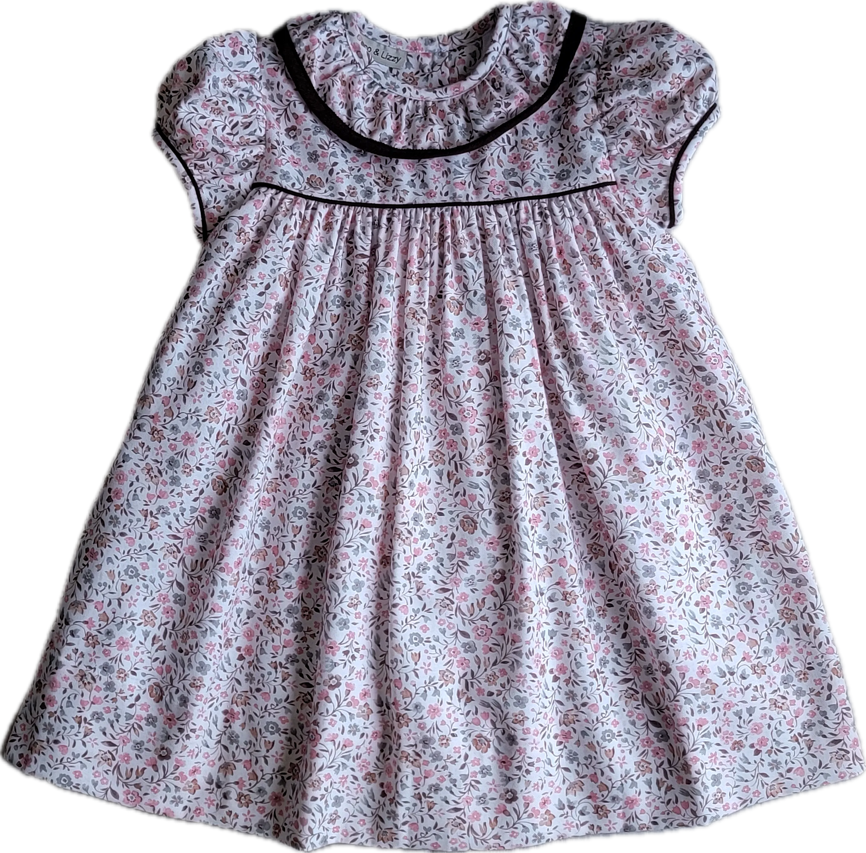 Cary Collection Fall Floral and brown Girl's float dress