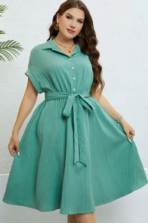 Hazel Blues® |  Buttoned Tie-Waist Shirt Dress