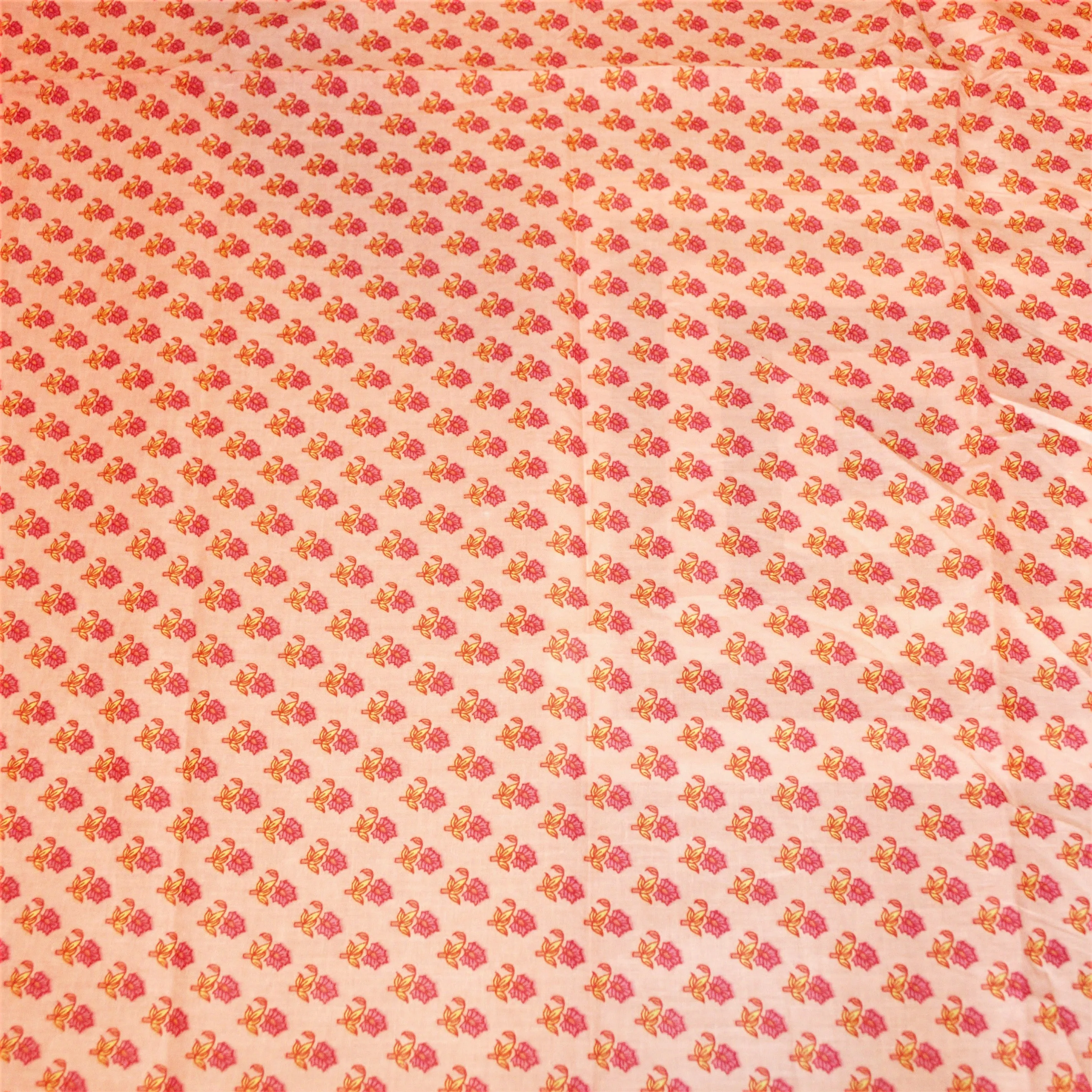 Pink and Yellow Flower on Salmon Background